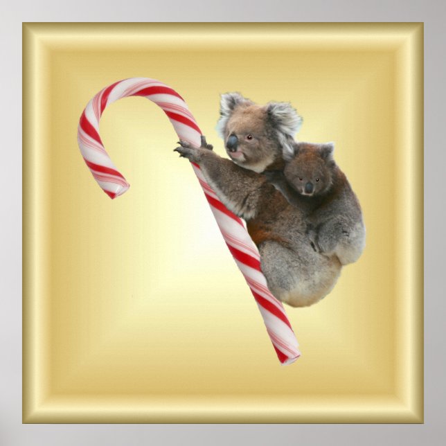 Pôster Candy Cane Koalas (Frente)