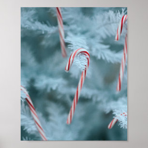 Poster Candy Cane on Tree