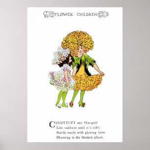 Pôster Candytuft e cravo-de-defunto