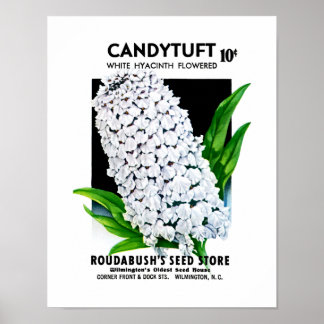 Pôster Candytuft Seed Packet Label
