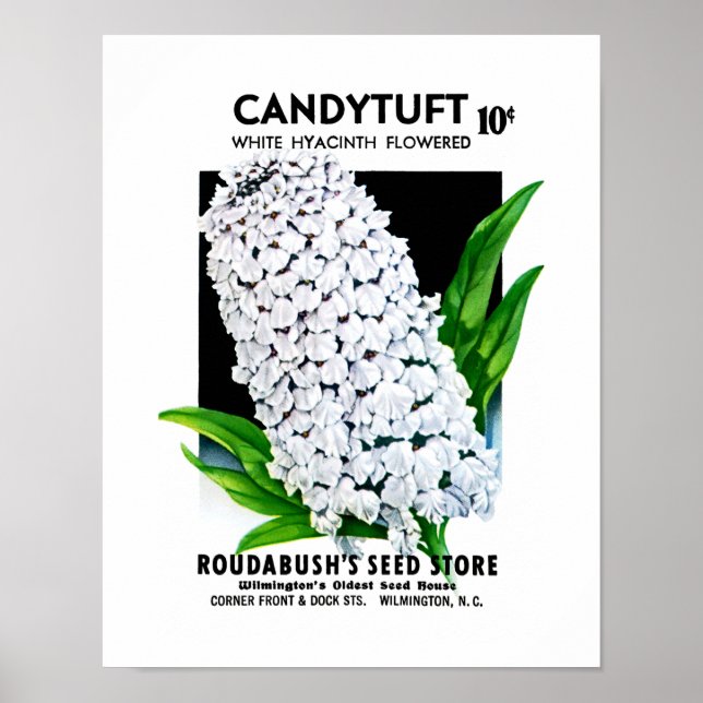 Pôster Candytuft Seed Packet Label (Frente)