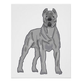 Pôster Cane Corso