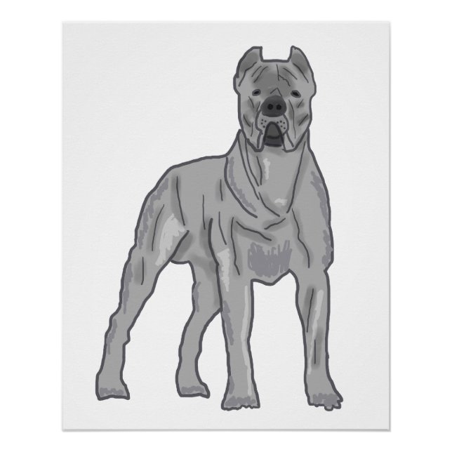 Pôster Cane Corso (Frente)