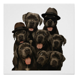 Pôster Cane Corso