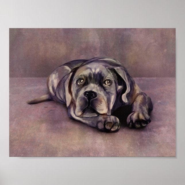 Poster Cane Corso - Italian Mastiff Puppy (Frente)