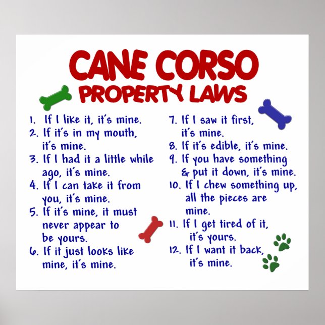 PÔSTER CANE CORSO PL2 (Frente)