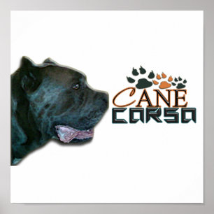 Pôster Cane Corso Poster(P)