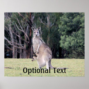 Poster Canguru da mãe com bebê Joey em seu malote