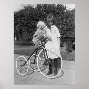 Pôster Caniche Vara, 1913