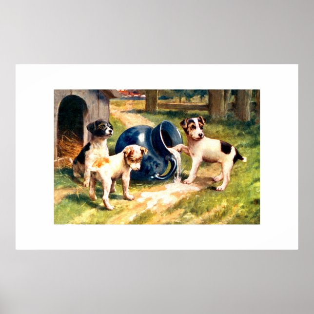 Pôster Canina (Frente)