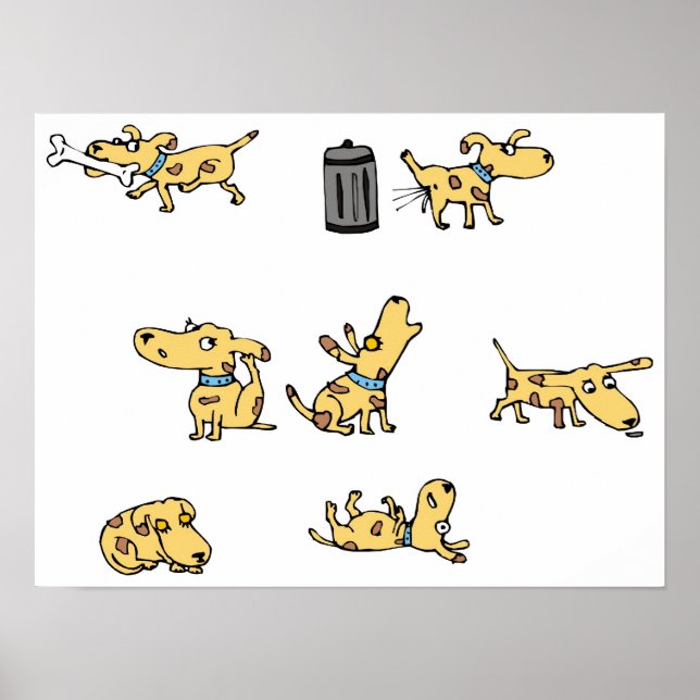 Poster Canina (Frente)