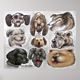 Poster Canina