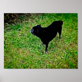 Poster Canino curioso em fibras brilhantes em preto