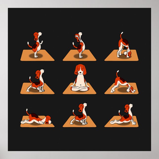 Poster Caninos De Beagle Bonitos Yoga Asana Poses (Frente)
