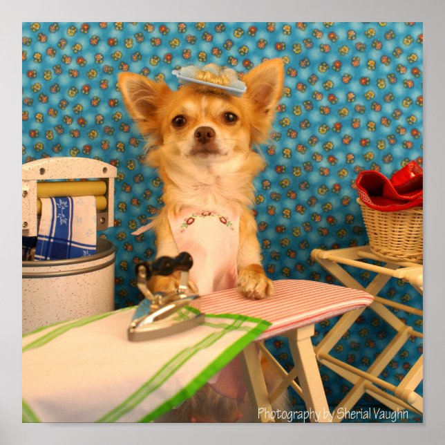 Poster Caninos Do Iron (Frente)