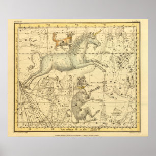 Pôster Canis Major, Canis Minor, Monoceros, Argo Navis