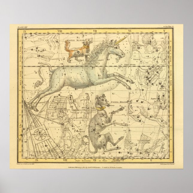 Pôster Canis Major, Canis Minor, Monoceros, Argo Navis (Frente)