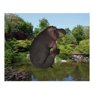 Pôster Canonball Hippo