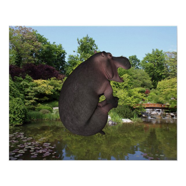 Pôster Canonball Hippo (Frente)