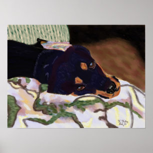 Poster cansado do cão