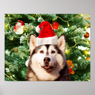 Poster Canteiro de Árvores de Natal Siberian Husky Snowma