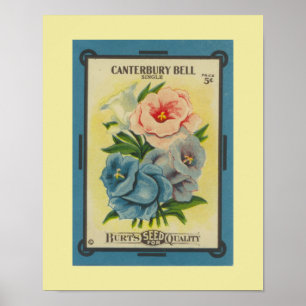 Pôster Canterbury Bels antigo