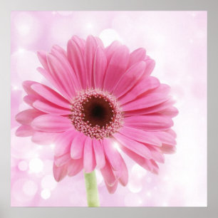 Pôster Canvas cor-de-rosa da margarida