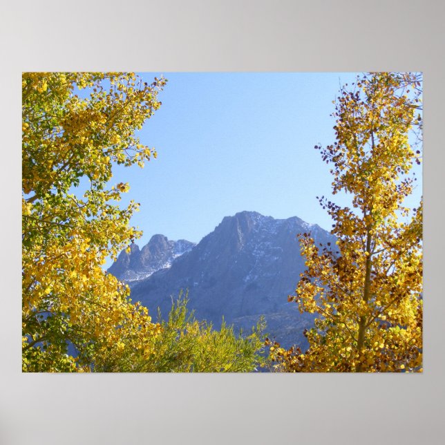 Poster Canvas da natureza (Frente)