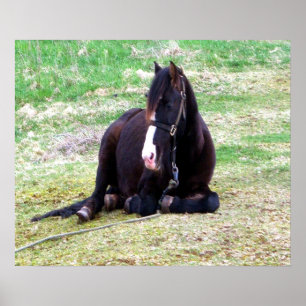 Pôster Canvas de Dias Preguiçosos