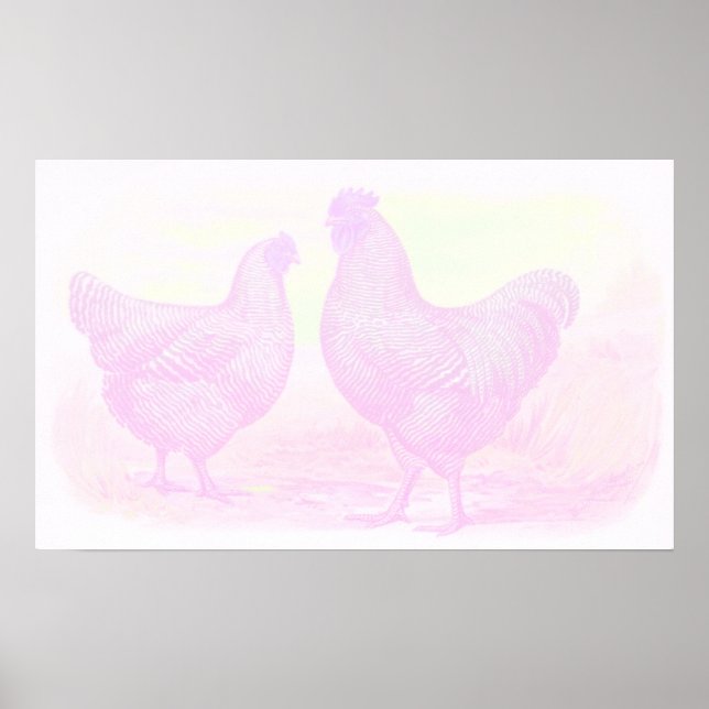 Poster Canvas de espuma rosa (Frente)