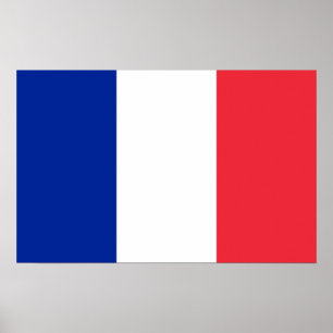 Pôster Canvas impressas com sinalizador da França
