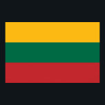 Poster Canvas impressas com sinalizador da Lituânia<br><div class="desc">Adicione uma declaração ousada de orgulho lituano à sua decoração com esta vibrante tela impressa com a bandeira da Lituânia! Mostrando o icônico tricolor do amarelo, do verde e do vermelho, esta tela de alta qualidade é um tributo notável ao rico patrimônio cultural da Lituânia. Seja exibido em sua sala...</div>