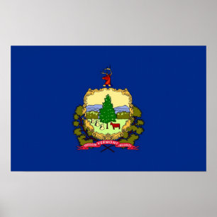 Pôster Canvas Print com Flag de Vermont, EUA