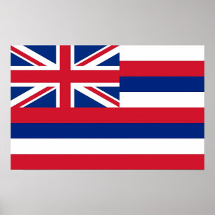 Pôster Canvas Print with Flag of Hawaii, EUA