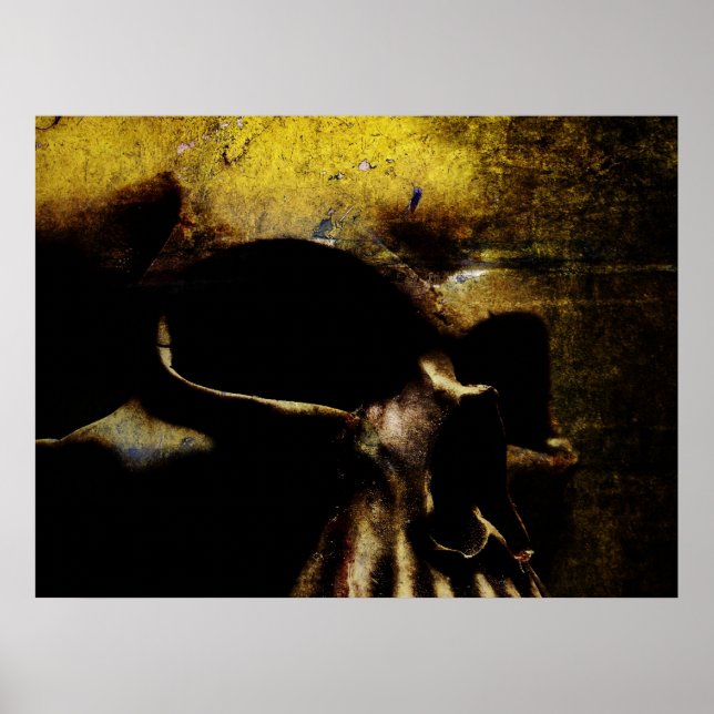 Pôster Canvas Skull (Frente)