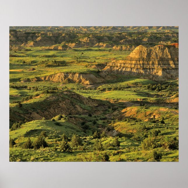 Pôster Canyon pintado após tempestade em Theodore Rooseve (Frente)