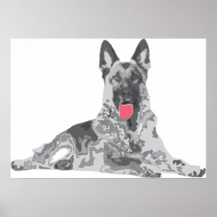 Poster cão