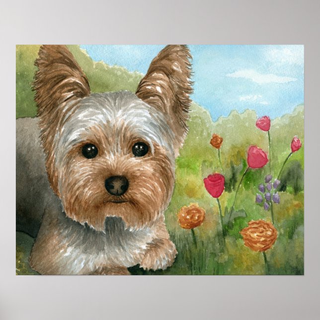 Poster Cão 117 Yorkshire (Frente)