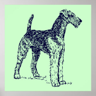 Poster Cão Airedale