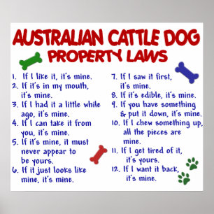 POSTER CÃO AUSTRALIANO PL2 DO GADO