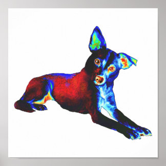 Poster Cão Azul
