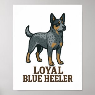 Poster Cão Bovino Australiano Leal Blue Heeler