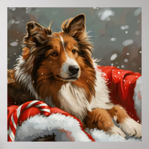 Poster Cão Collie Áspero Festa de Natal