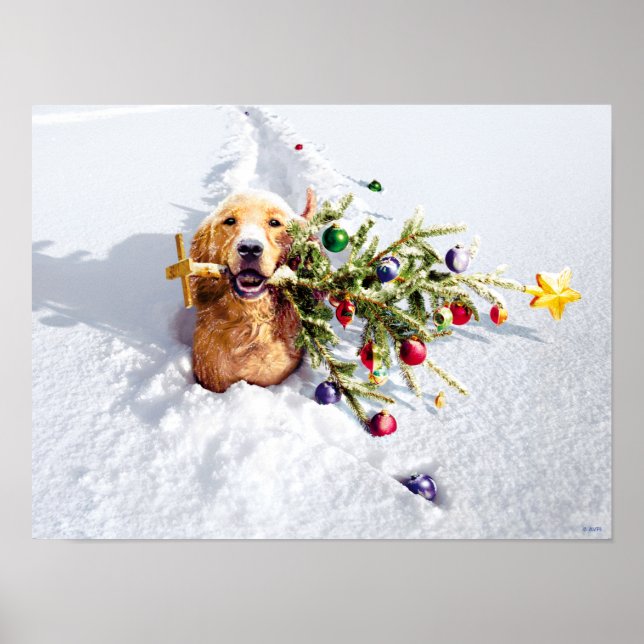 Poster Cão Com Árvore Na Neve (Frente)