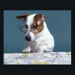 Pôster Cão com óculos lendo estudando mapa<br><div class="desc">Animais->Cão</div>
