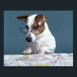 Pôster Cão com óculos lendo estudando mapa<br><div class="desc">Animais->Cão</div>