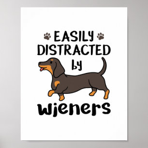 Poster Cão Dachshund facilmente distraído por saltadores