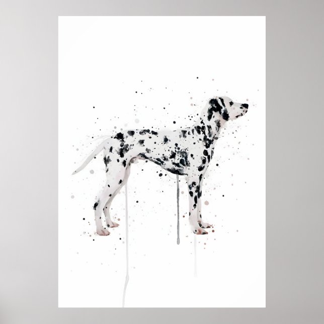 Poster Cão Dalmata (Frente)