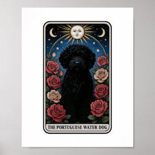Poster Cão de Água Português