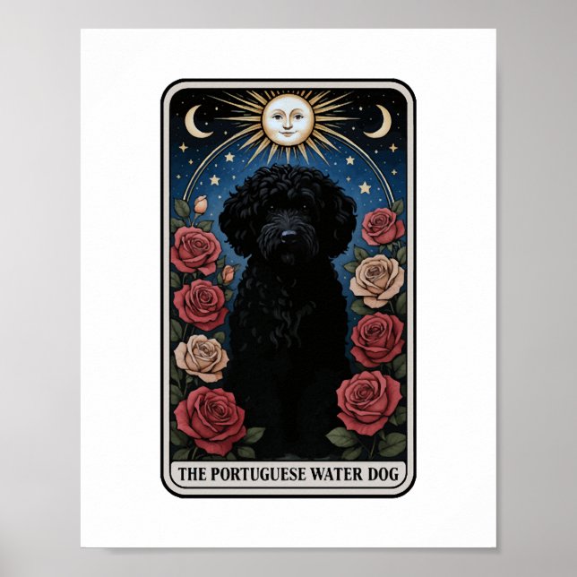 Poster Cão de Água Português (Frente)